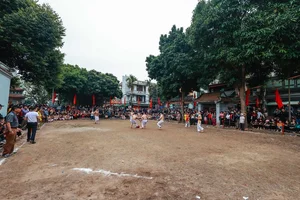 Discover the Traditional Ball Wrestling Festival of Thuy Linh Village in Hanoi: A Display of Strength and Heritage - image 6