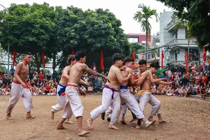 Discover the Traditional Ball Wrestling Festival of Thuy Linh Village in Hanoi: A Display of Strength and Heritage - image 9