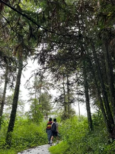 Experience the Serenity of Japanese Forest Bathing in the Mountains of Sa Pa - image 11