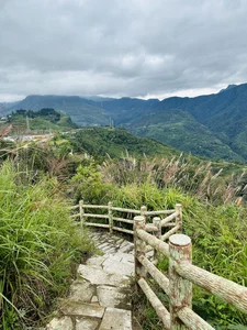 Experience the Serenity of Japanese Forest Bathing in the Mountains of Sa Pa - image 9