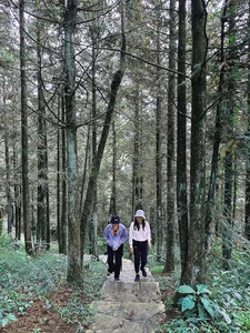 Experience the Serenity of Japanese Forest Bathing in the Mountains of Sa Pa - image 4