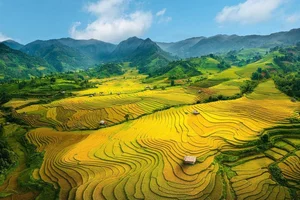 Discovering the Ethereal Beauty of Sa Pa: A Journey Through Vietnam’s Misty Mountains and Terraced Fields - image 1