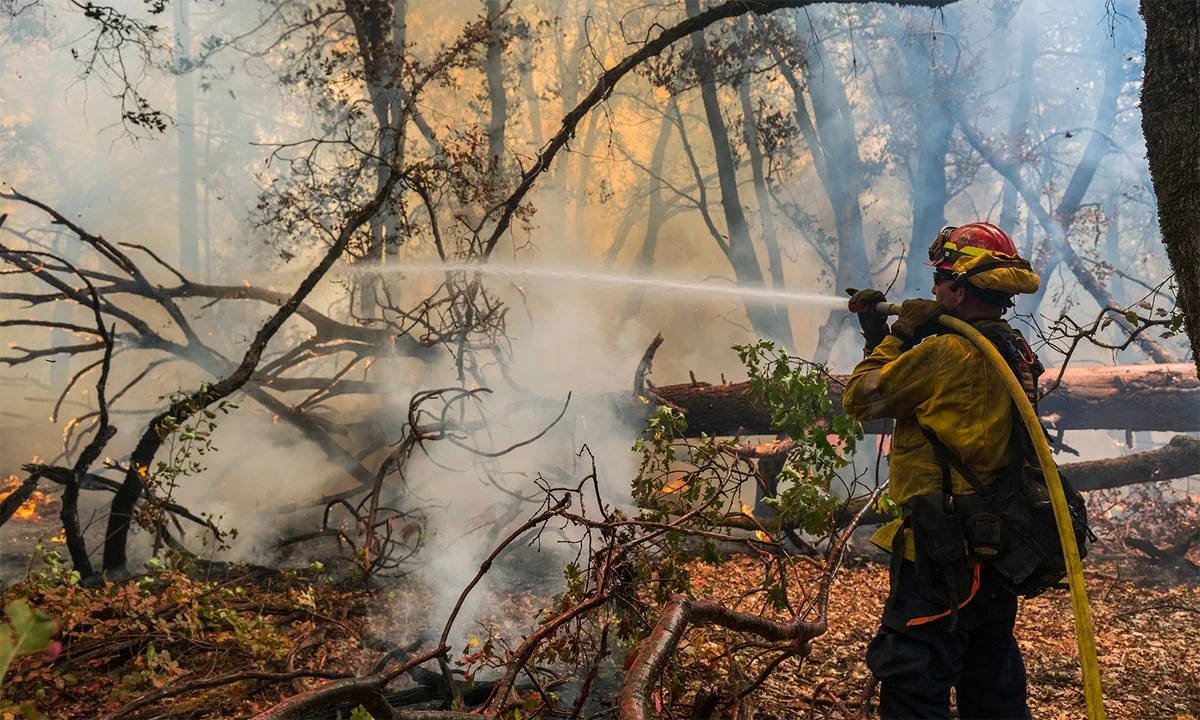 California’s Park Fire: A Hellish Landscape of Destruction and Bravery