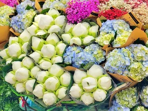 Autumn in Hanoi: Must-Try Local Delicacies for Every Traveler - image 7