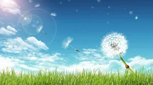 The Beautiful Fairy Tale Legend of the Dandelion Flower - image 6