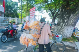 Culinary Journey Through Tan Chau: The Legendary Silk Land of An Giang - image 2