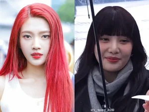Red Velvet's Joy Stuns at Milan Fashion Week with Sophisticated Look Post Double Eyelid Surgery Rumors - image 7