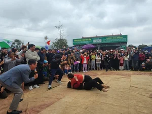 Experience the Thrill of Traditional Wrestling at Huong Tich Pagoda Festival - image 1