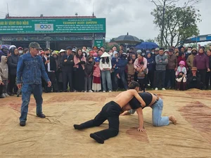 Experience the Thrill of Traditional Wrestling at Huong Tich Pagoda Festival - image 2