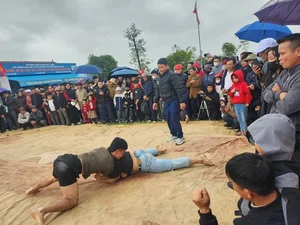 Experience the Thrill of Traditional Wrestling at Huong Tich Pagoda Festival - image 5