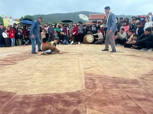 Experience the Thrill of Traditional Wrestling at Huong Tich Pagoda Festival - image 4