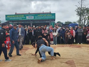 Experience the Thrill of Traditional Wrestling at Huong Tich Pagoda Festival - image 6