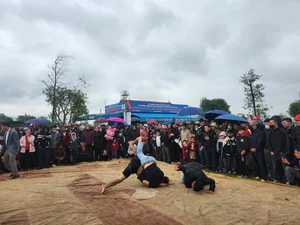 Experience the Thrill of Traditional Wrestling at Huong Tich Pagoda Festival - image 0