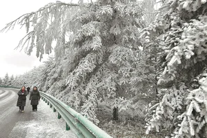 China Faces Record-Breaking Cold Wave: President Xi Jinping Urges Emergency Response - image 8