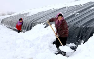 China Faces Record-Breaking Cold Wave: President Xi Jinping Urges Emergency Response - image 0