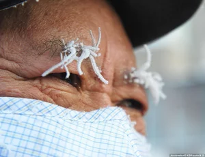China Faces Record-Breaking Cold Wave: President Xi Jinping Urges Emergency Response - image 1
