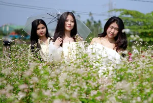 Buckwheat Flower Garden in Quang Nam: A New Viral Attraction for Young Travelers - image 1