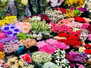 Affordable Imported Flowers Trend for Lunar New Year 2025 - image 5