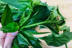 This Hidden Superfood Leaf Has Twice the Calcium of Milk - image 0