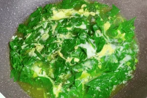 This Hidden Superfood Leaf Has Twice the Calcium of Milk - image 8