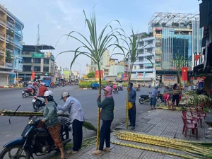 The Unique Once-a-Year Sugarcane Market Tradition in Ho Chi Minh City - image 2