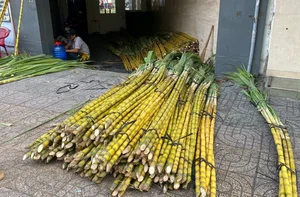 The Unique Once-a-Year Sugarcane Market Tradition in Ho Chi Minh City - image 0