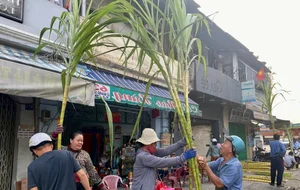 The Unique Once-a-Year Sugarcane Market Tradition in Ho Chi Minh City - image 7
