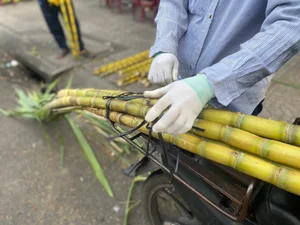 The Unique Once-a-Year Sugarcane Market Tradition in Ho Chi Minh City - image 9