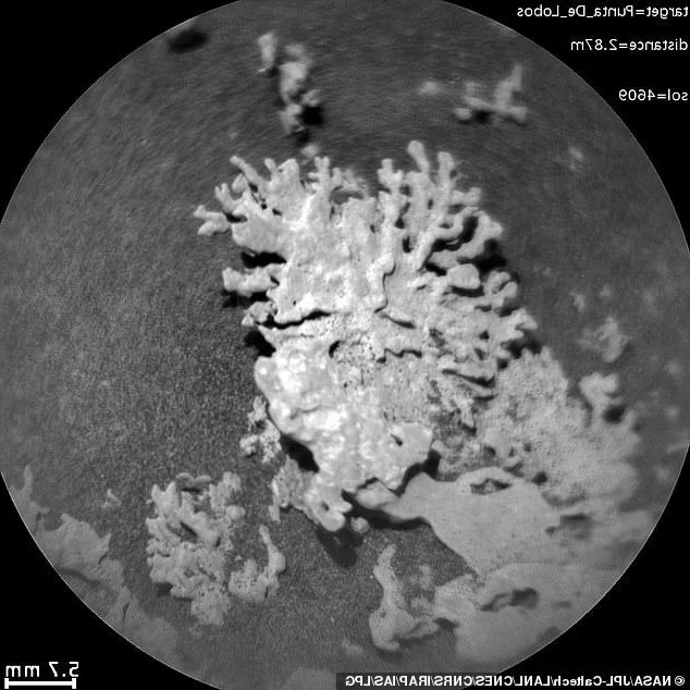 Unexplained Martian Anomalies: The Mystery of the Coral-Shaped Structures on the Red Planet