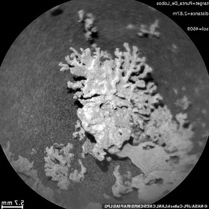 Unexplained Martian Anomalies: The Mystery of the Coral-Shaped Structures on the Red Planet - image 0