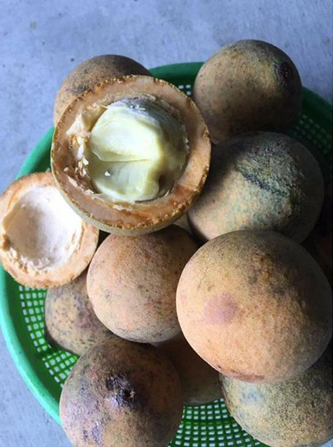 Discover the Rare Mekong Delta Fruit That Looks Like Pomelo