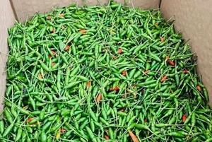 The 1 Million VND Hedge Fruit Trend Explained - image 6