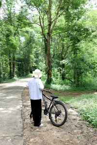 Escape the Heat: A Summer Journey into the Green Heart of Nam Cat Tien - image 5