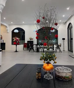 Inside Actress Quynh Luong’s Stunning New Minimalist Luxury Villa - image 6