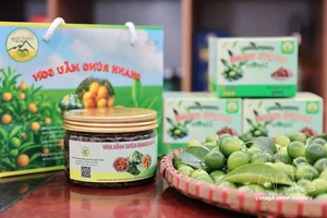 Dao Ethnic Youth Drive Economic Growth with Mau Son Specialties - image 1