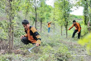 Dao Ethnic Youth Drive Economic Growth with Mau Son Specialties - image 4