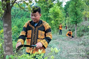Dao Ethnic Youth Drive Economic Growth with Mau Son Specialties - image 9