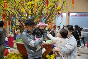 A Nostalgic Journey: Riding the Midnight Train into the Lunar New Year of At Ty 2025 - image 5