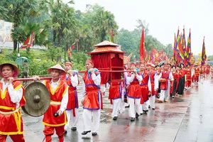 The Sacred Palanquin Procession: A Deep Dive into Vietnam's Hung Kings Temple Rituals - image 13
