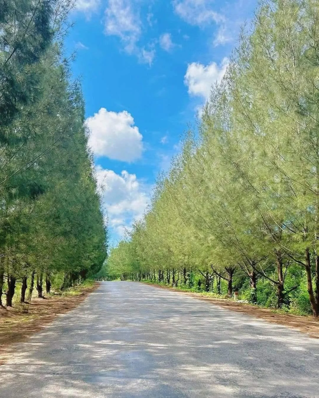 Chill Out in Quan Lan: The Ultimate Guide to Vietnam's Most Untouched Island Paradise