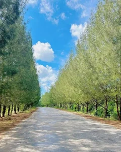 Chill Out in Quan Lan: The Ultimate Guide to Vietnam's Most Untouched Island Paradise - image 0