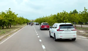 Conquering 1,000 Km of Breathtaking Coastal Roads with the Honda Hybrid Touring - image 5