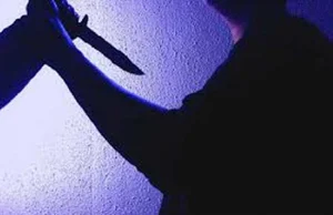 Young Man Arrested After Committing Violent Crime to Impress Girlfriend: A Shocking Case Study in Criminal Psychology and Justice - image 8