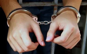 Young Man Arrested After Committing Violent Crime to Impress Girlfriend: A Shocking Case Study in Criminal Psychology and Justice - image 1