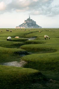 Historic 1000-Year-Old Fortress Breaks Ancient Rules for Billionaire's Son's Wedding - image 2