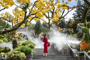 Spring Magic: The Tulip Festival and Tet Celebrations at Ba Na Hills - image 0