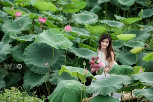 Trang Sunhi Stunning Ao Yem and Lotus Flower Photoshoot Gallery - image 7