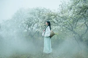 YiTuYu Art Language Vol.4667: Mu Jing Shu in a Masterpiece of Light - image 4