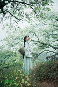 YiTuYu Art Language Vol.4667: Mu Jing Shu in a Masterpiece of Light - image 21