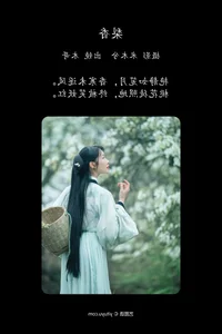 YiTuYu Art Language Vol.4667: Mu Jing Shu in a Masterpiece of Light - image 13